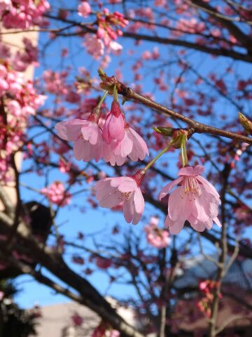 3月になっちゃいました。_b0225187_046579.jpg