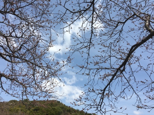 b0336787_23542308.jpeg