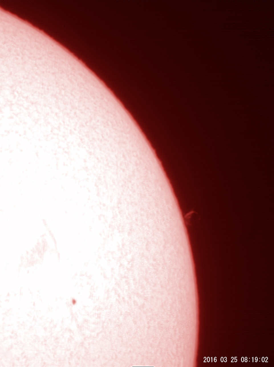 3月25日の太陽_e0174091_16014045.jpg