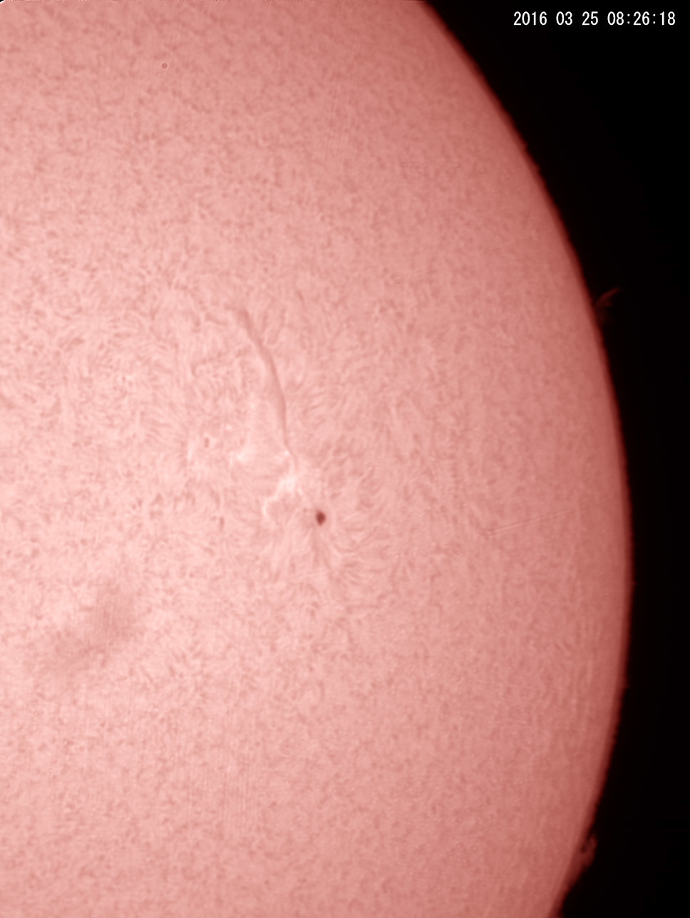 3月25日の太陽_e0174091_16035247.jpg