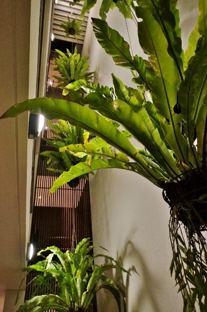 d0337598_11122685.jpg