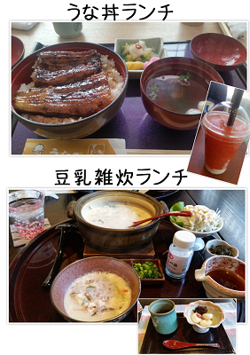 e0143298_20282093.png