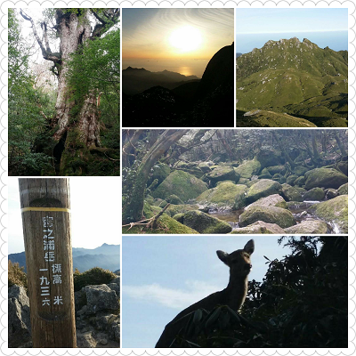 e0143298_2036445.png