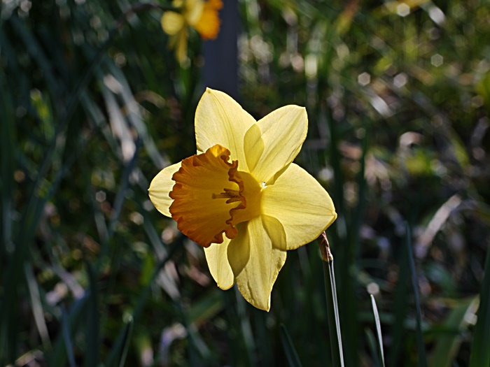 c0187503_17563028.jpg