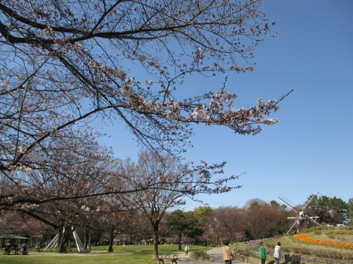 e0242504_13131401.jpg