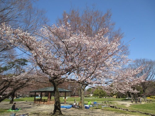 e0242504_13154178.jpg