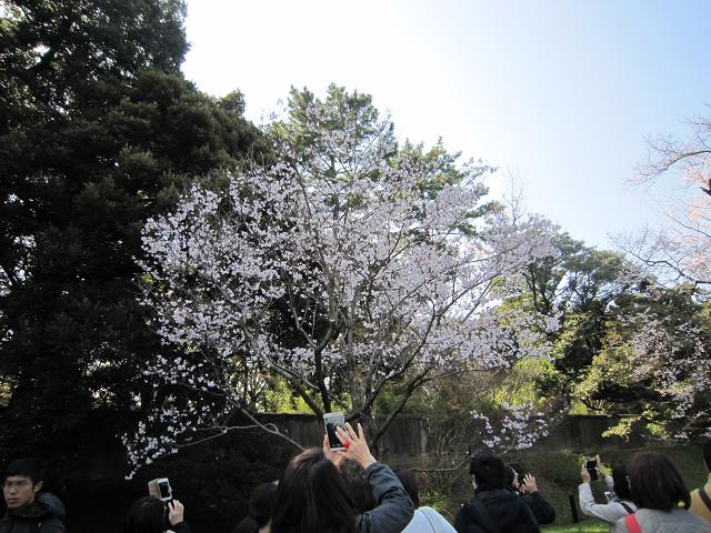 a0141408_1904368.jpg