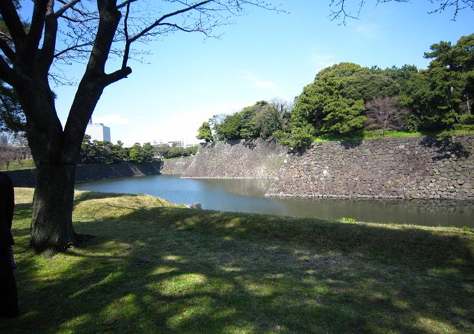 a0141408_190786.jpg