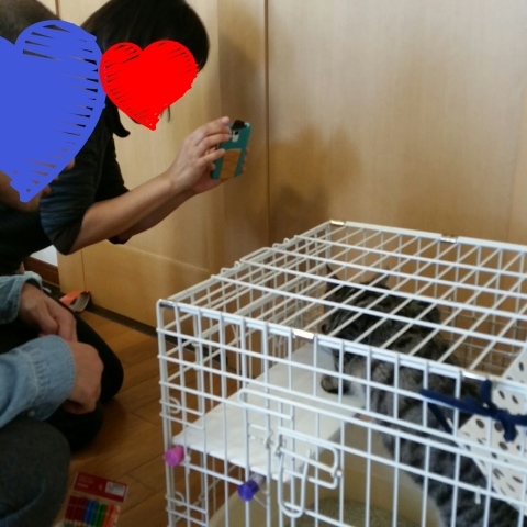 e0144012_18554550.jpeg