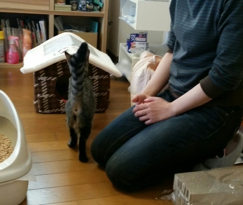 e0144012_18563019.jpeg