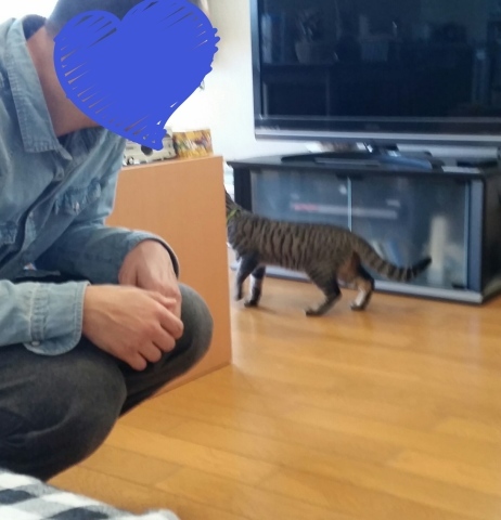 e0144012_19014311.jpeg