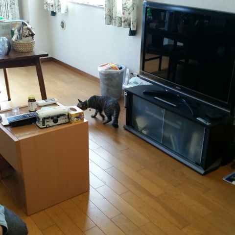 e0144012_19021541.jpeg