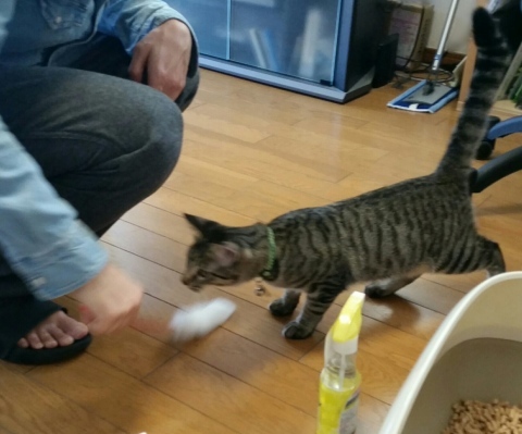 e0144012_19035715.jpeg