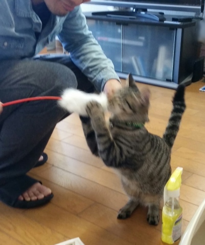 e0144012_19050650.jpeg