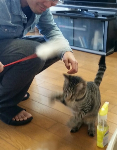 e0144012_19053522.jpeg