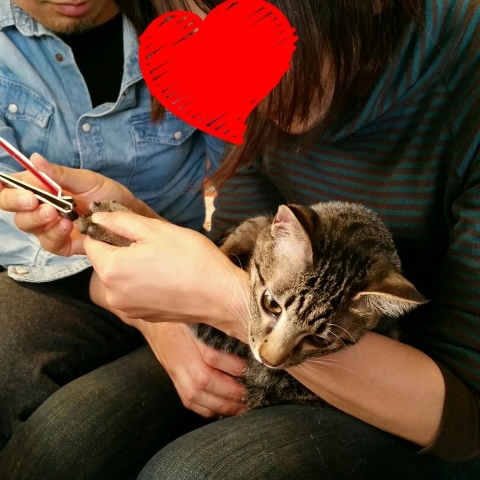 e0144012_19091670.jpeg