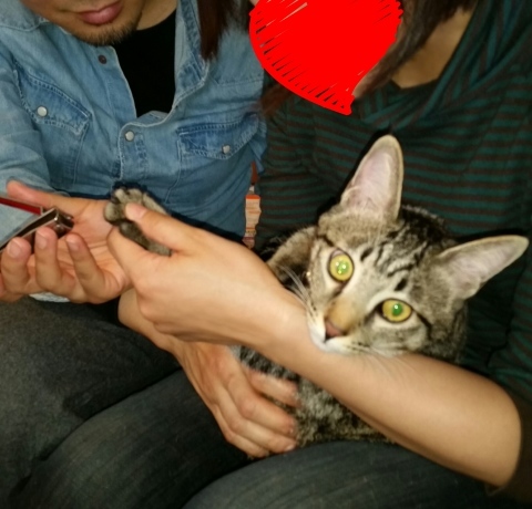 e0144012_19100306.jpeg
