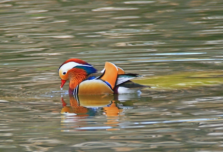 c0104227_24680.jpg