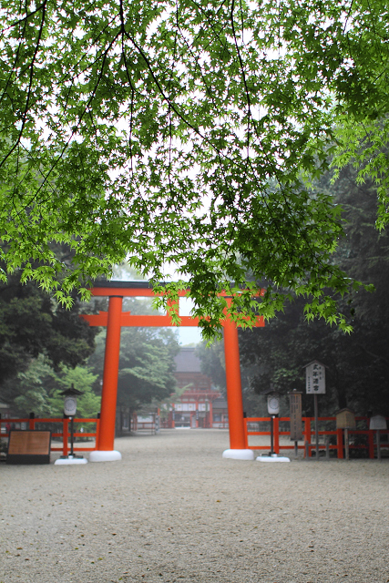 下鴨神社（前編）_b0169330_1834145.jpg