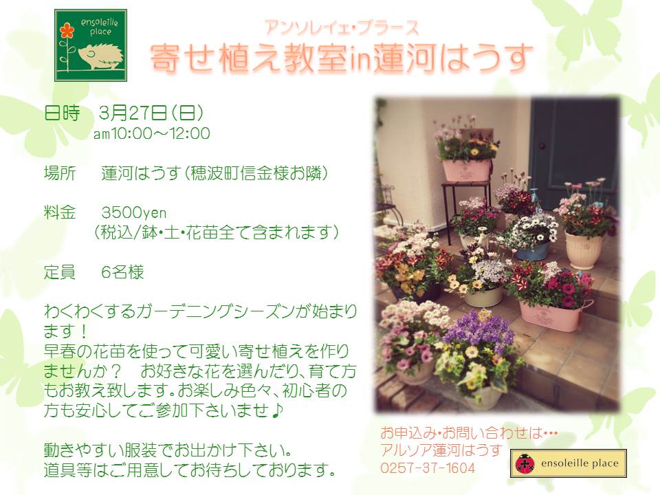 プチ寄せ植え教室&花苗販売_e0086738_20231296.jpg