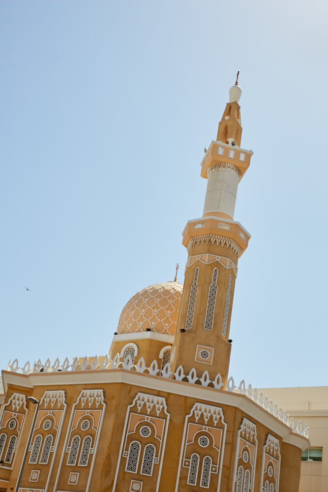 d0139939_1533830.jpg