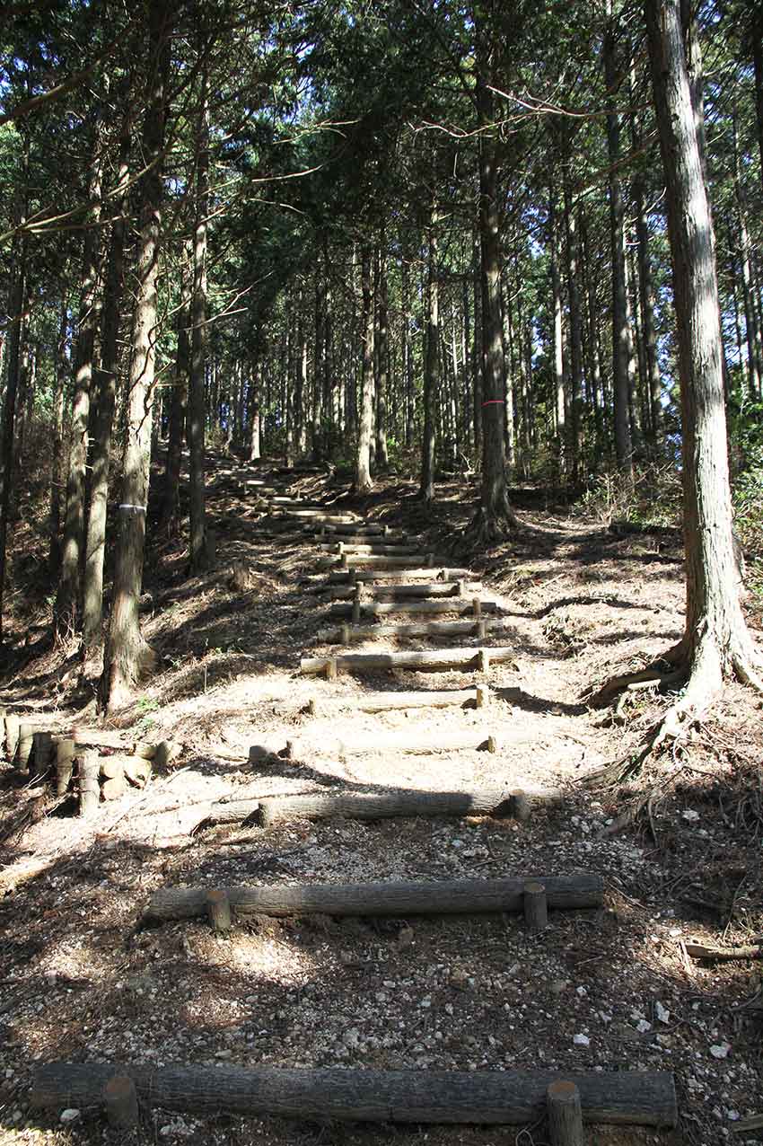 中津峰山と天津神社♪_d0058941_20334472.jpg