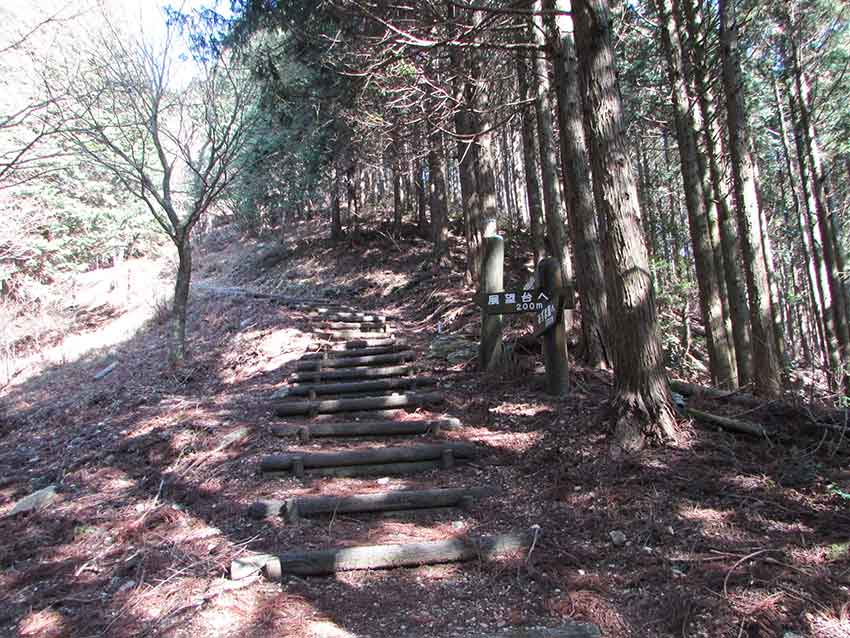 中津峰山と天津神社♪_d0058941_2037406.jpg