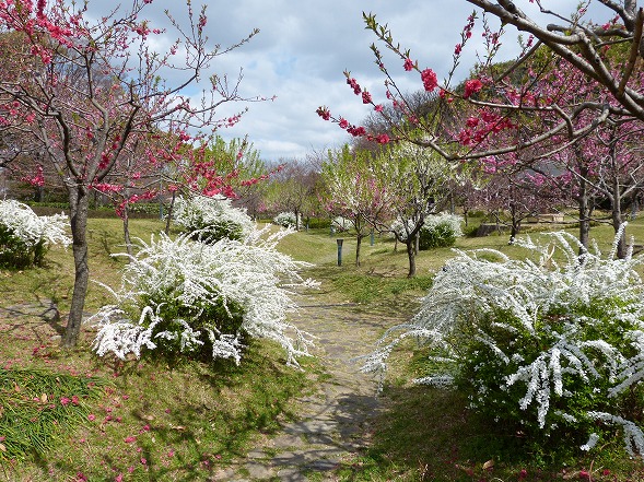 b0299042_8162760.jpg
