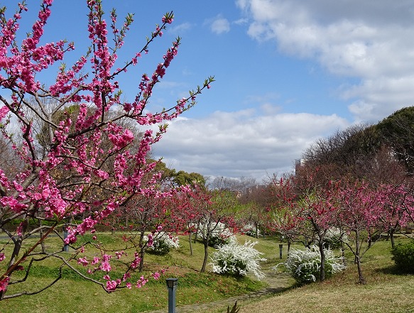 b0299042_8163292.jpg