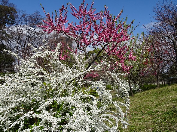 b0299042_8171657.jpg
