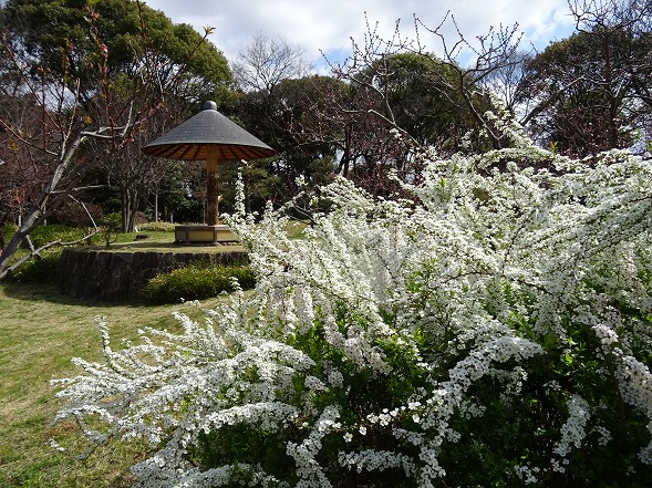 b0299042_817355.jpg