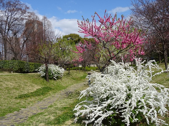 b0299042_8174865.jpg