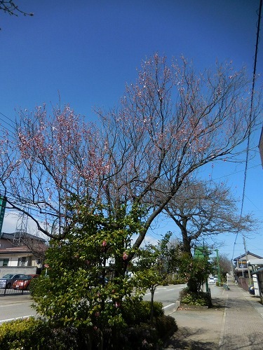c0327752_16014799.jpg
