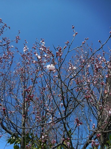 c0327752_16023304.jpg
