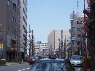 春の東京ぶらぶら旅　2日目(1)　山種美術館_b0296353_19334566.jpg