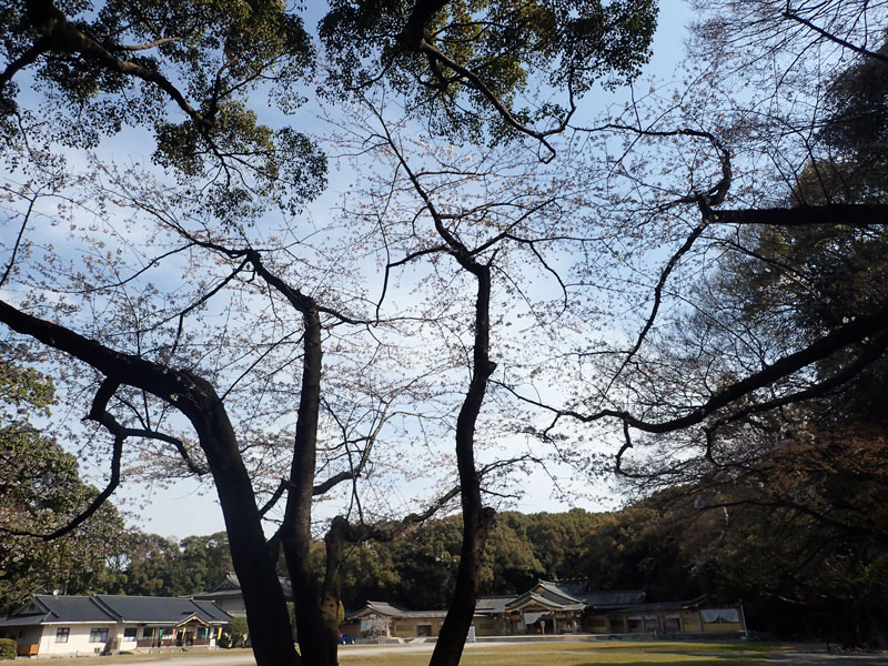 国の為　その心意気　無駄にすな_c0210054_4593637.jpg