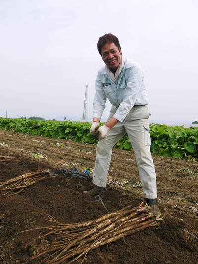 有機栽培の水田ごぼう 元気に成長しています!収穫は4月下旬より!!_a0254656_1892045.jpg