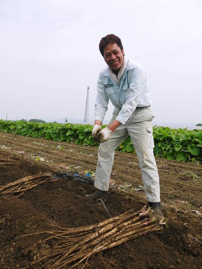 有機栽培の水田ごぼう　元気に成長しています！収穫は4月下旬より!!_a0254656_1892045.jpg