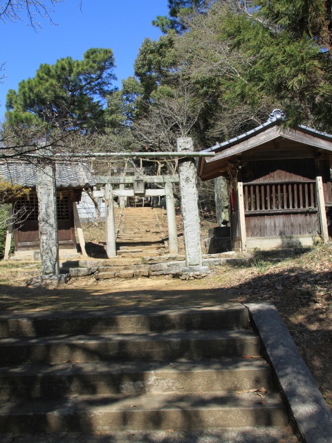 朝倉〜甘木公園の噴水工事と、桜の開花状況ていさつ_b0124456_19155612.jpg