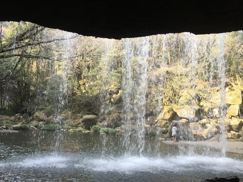 ふるさと納税で熊本旅行1_a0335560_20295858.jpg