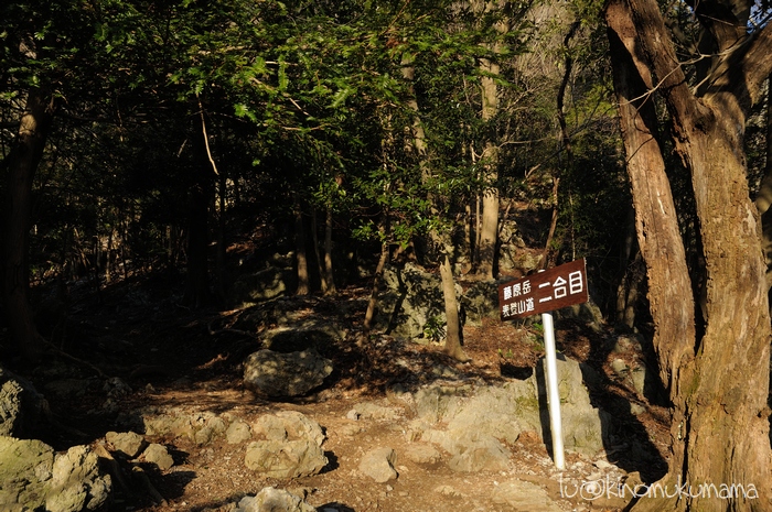 c0246261_20491090.jpg