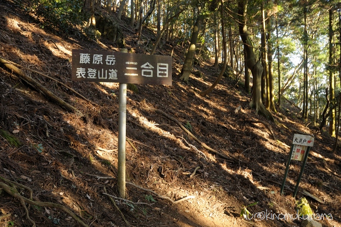 c0246261_20495320.jpg