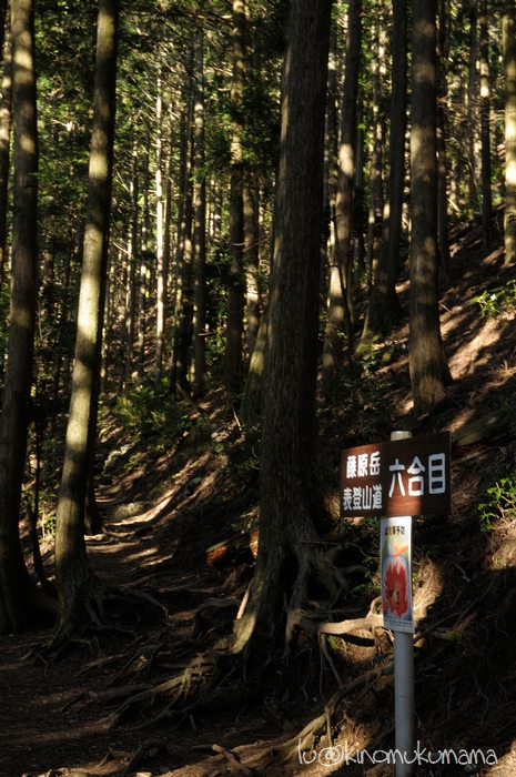 c0246261_21102164.jpg