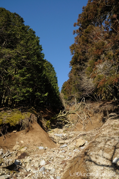 c0246261_21125035.jpg