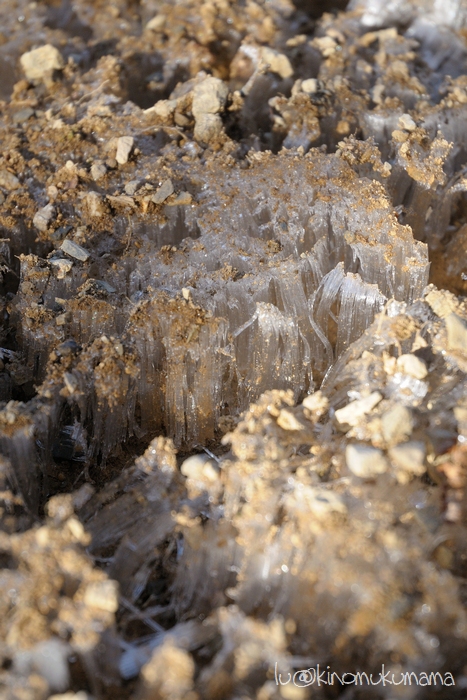 c0246261_21135678.jpg