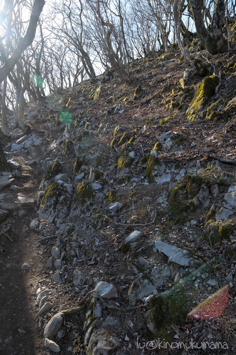 c0246261_2117940.jpg