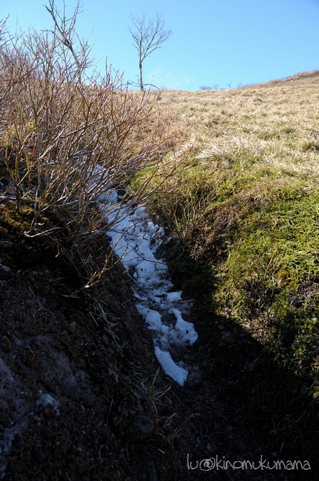 c0246261_2126133.jpg