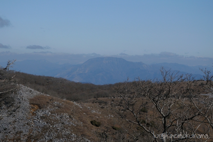 c0246261_21315090.jpg