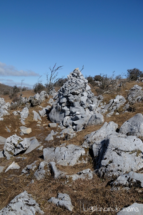 c0246261_21384090.jpg