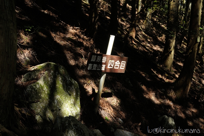 c0246261_21551491.jpg